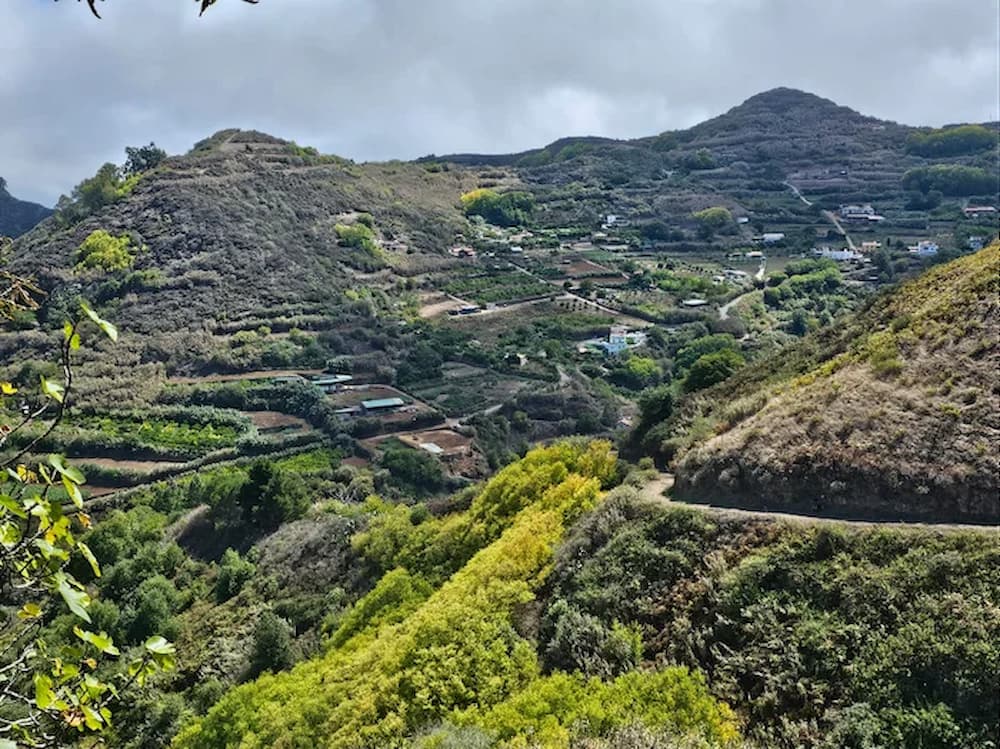 Naturaleza Teror